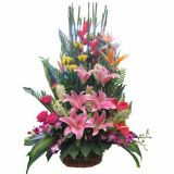 麣ʻٵ