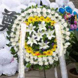 麣ҵ